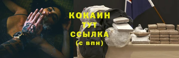 прущие крисы Зеленодольск