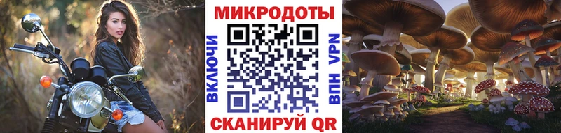Галлюциногенные грибы Psilocybe Каргополь